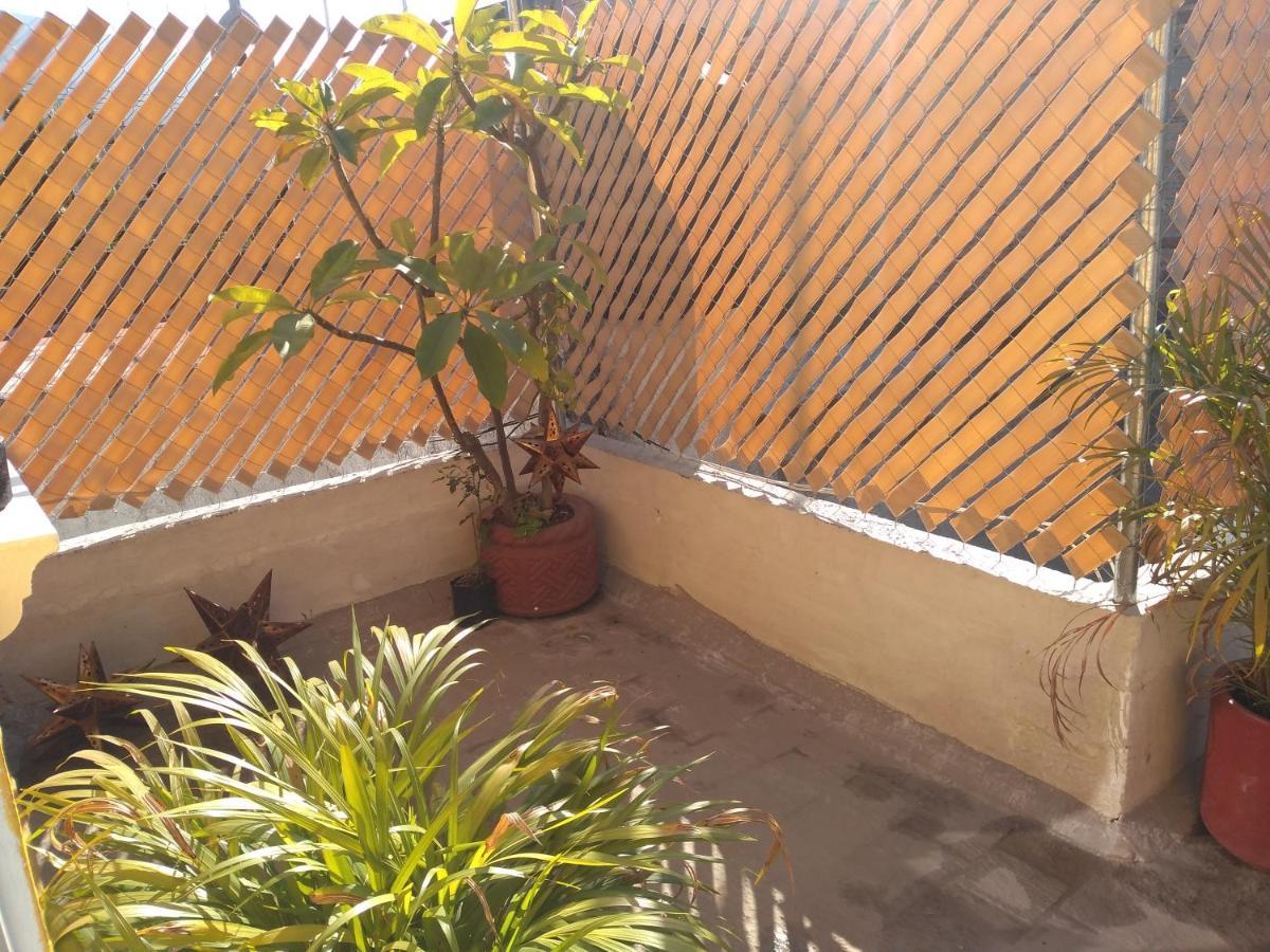 Casa Alebrijes Villa Tequila Kültér fotó