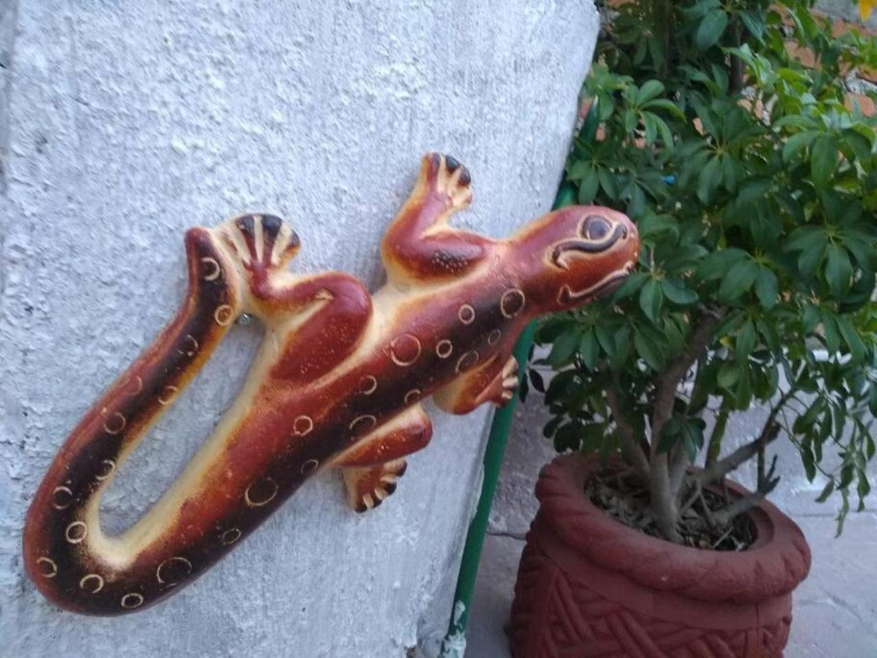 Casa Alebrijes Villa Tequila Kültér fotó